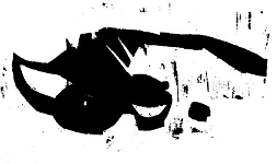 J&ouml;rg Miszewski - Druckgrafik-Edition /  Die Trauer der Idioten