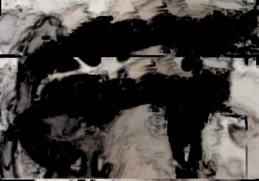 Jörg Miszewski - Digitales Bild