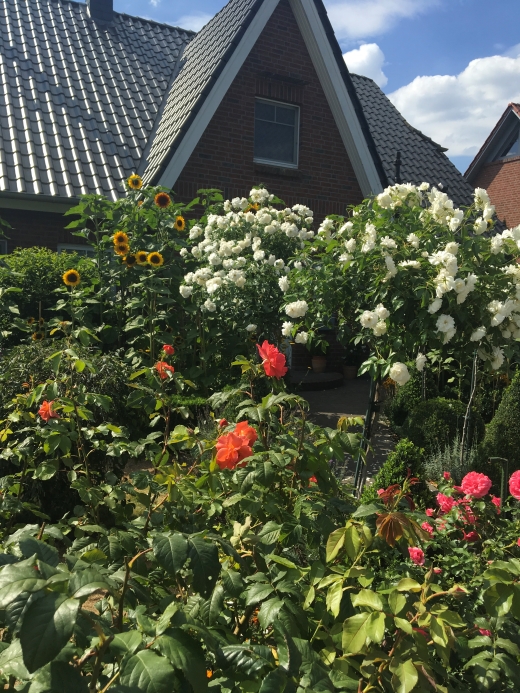 Jörg Miszewski - Digitales Bild