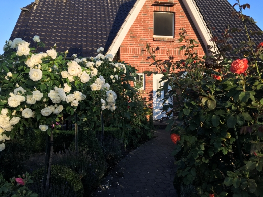 Jörg Miszewski - Digitales Bild