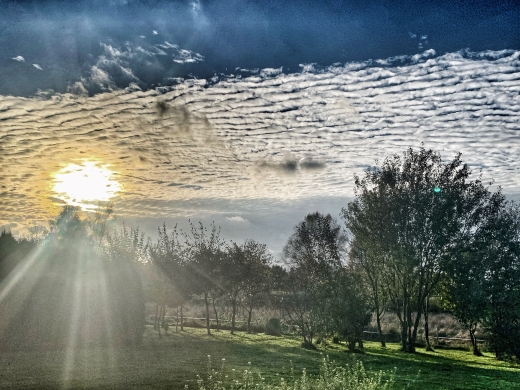 Jörg Miszewski - Digitales Bild