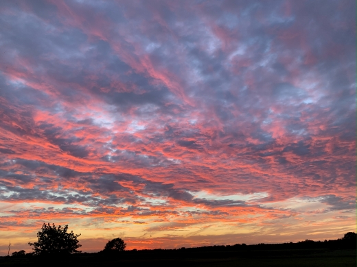 Jörg Miszewski - Digitales Bild