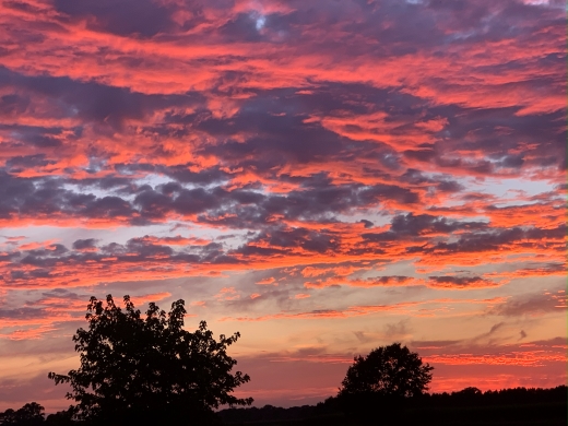 Jörg Miszewski - Digitales Bild