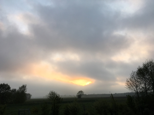 Jörg Miszewski - Digitales Bild